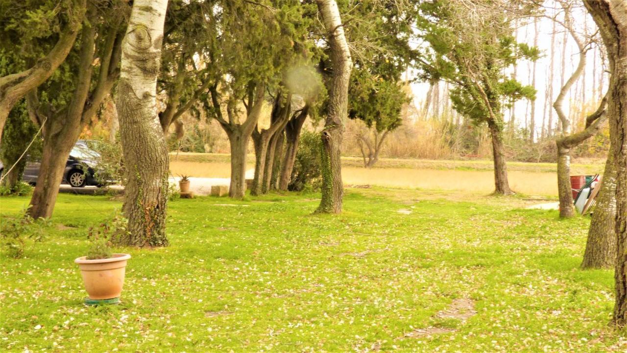 Mas Des Cypres, Clim - Jardin En Camargue Villa Arles Ngoại thất bức ảnh