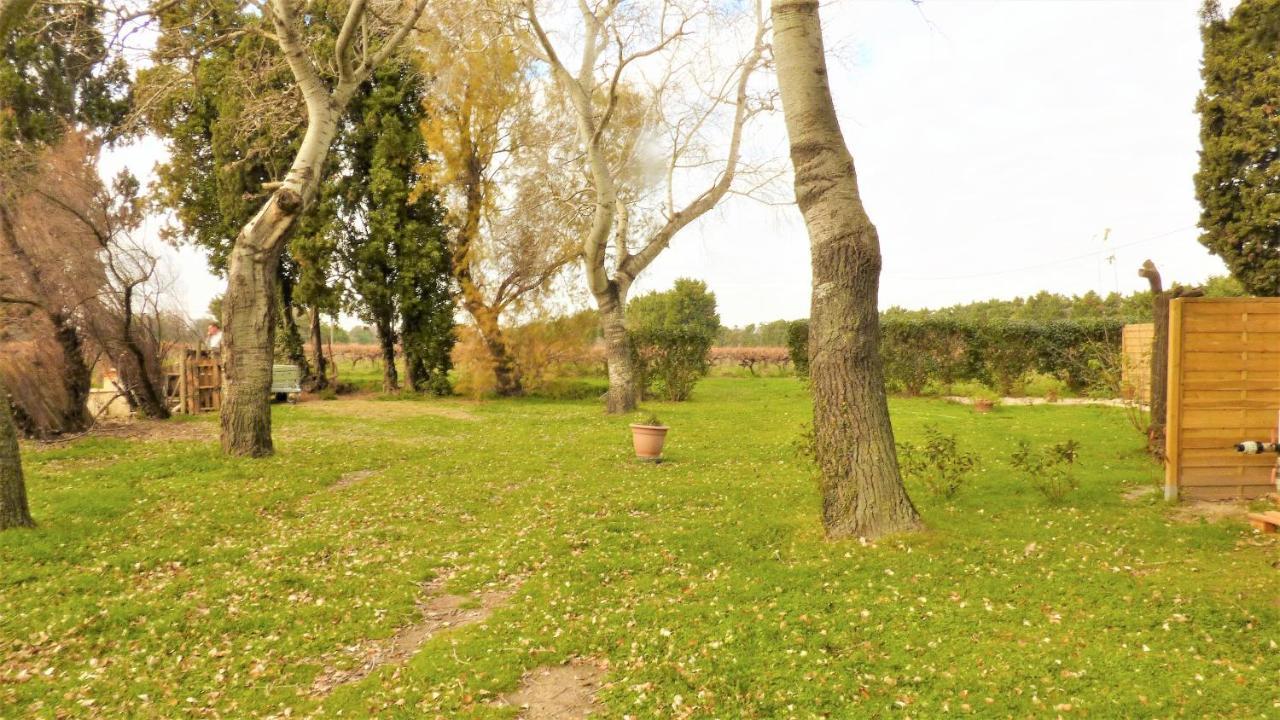 Mas Des Cypres, Clim - Jardin En Camargue Villa Arles Ngoại thất bức ảnh