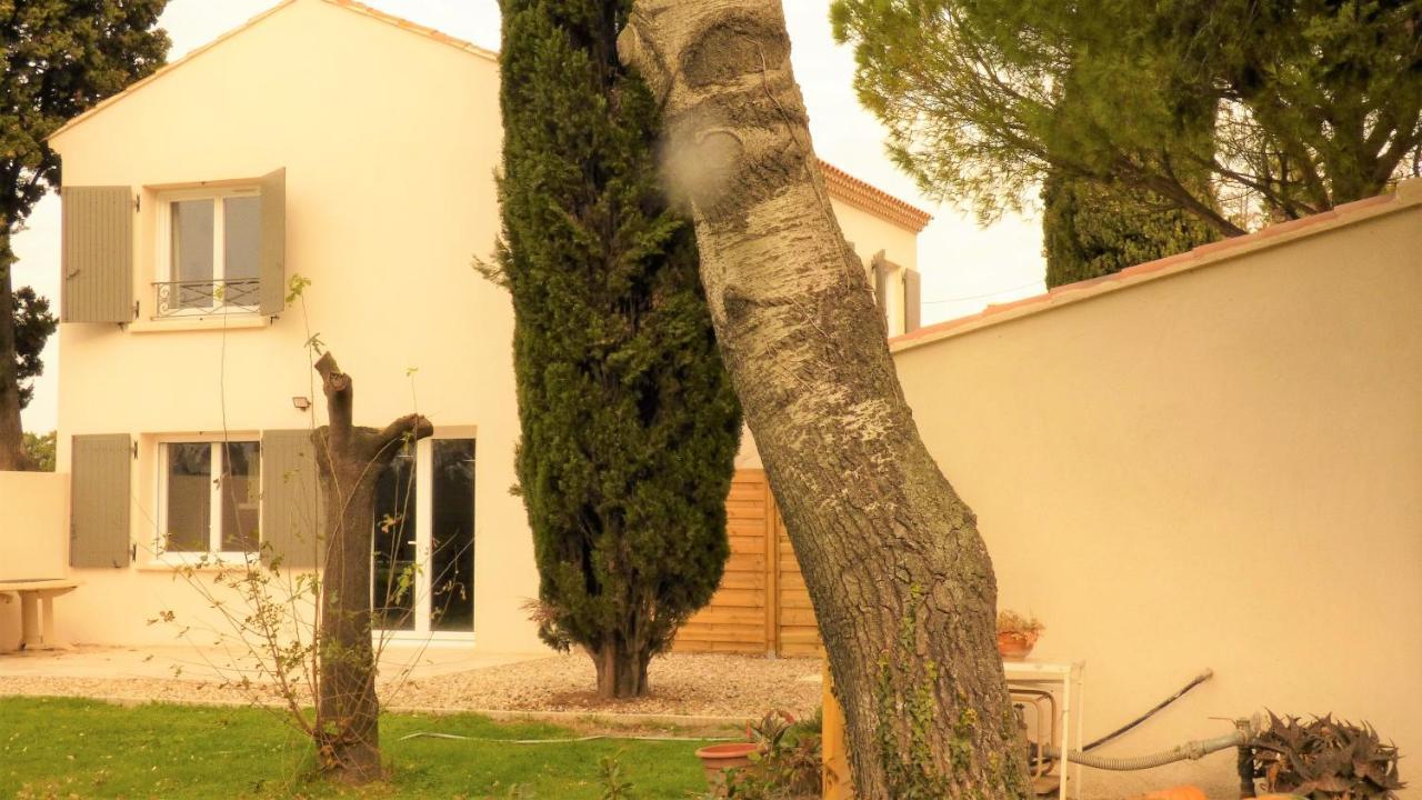 Mas Des Cypres, Clim - Jardin En Camargue Villa Arles Ngoại thất bức ảnh